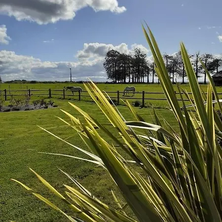 Villa Le Clos D'anthime, 12 Personnes, 5 Saint-Vigor-d'Ymonville
