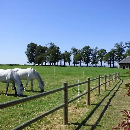 Le Clos D'anthime, 12 Personnes, 5 Villa *